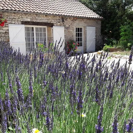 Les Vitarelles En Quercy Frühstückspension Berganty